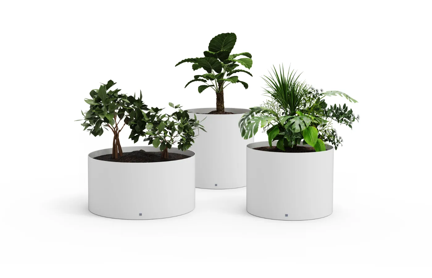 Set of white Magnus planters in different sizes, with cylindrical shapes and varied plant arrangements on a neutral background.