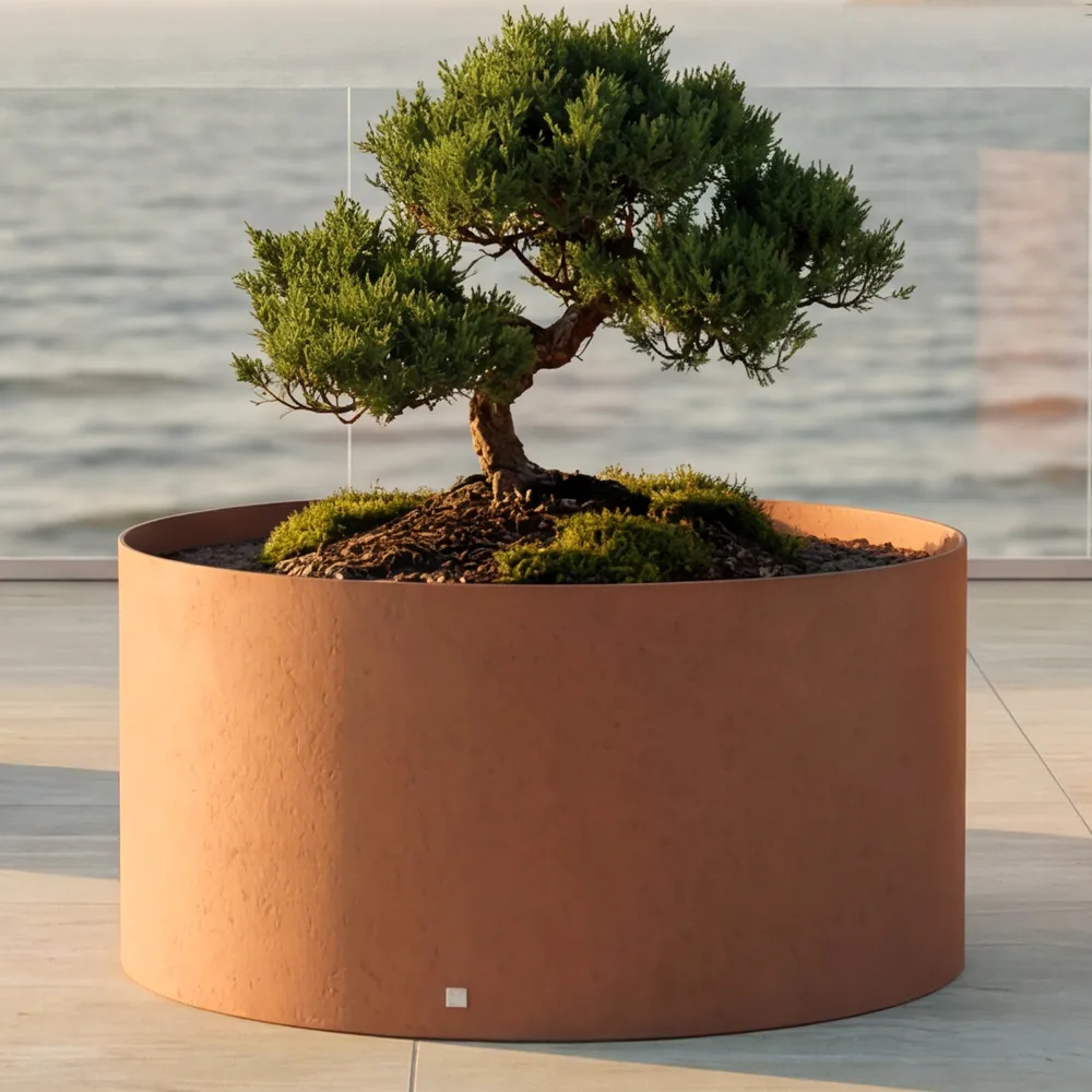 Close-up of the Magnus planter showing its low cylindrical shape in rust color and a shaped bonsai tree at the centre.