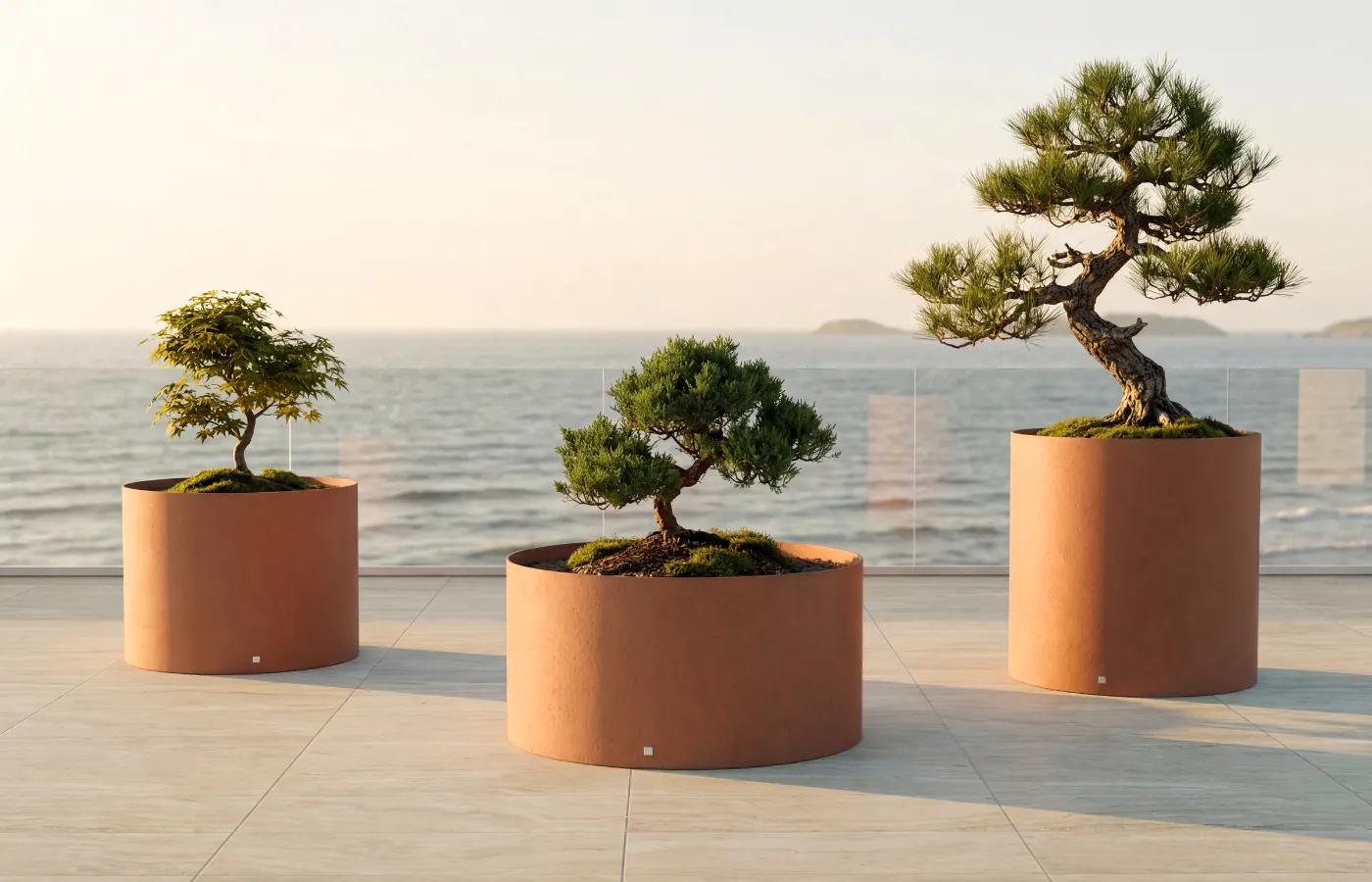 Set of terracota Magnus planters in different sizes on a terrace with sea view, with cylindrical shapes and shaped bonsai trees at the centre.
