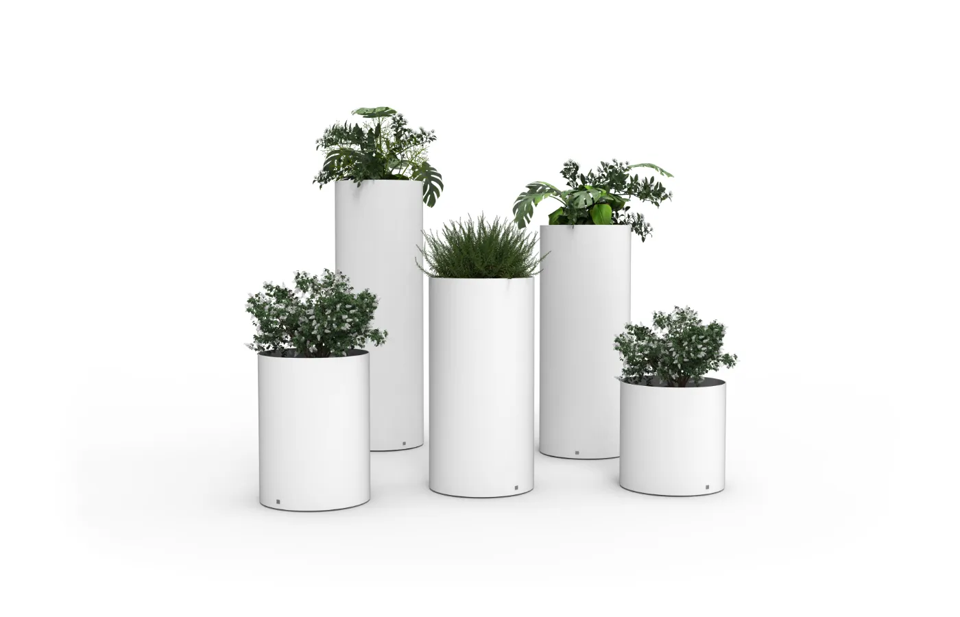 Set of white Magnus small planters in different heights, with cylindrical shapes and varied plants on a neutral background.