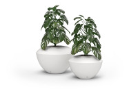 Spin Vases White Outdoor